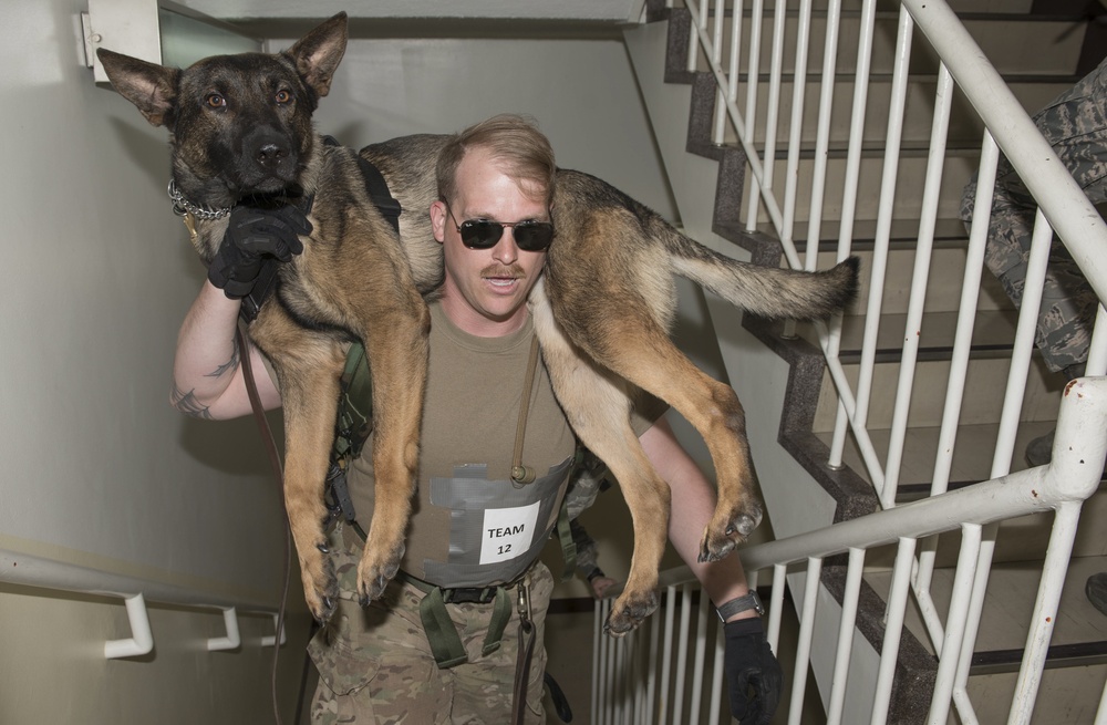 Yokota’s 2019 National Police Week in review