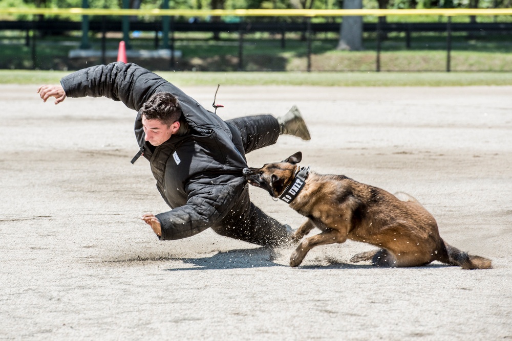 Yokota’s 2019 National Police Week in review
