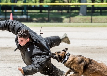 Yokota’s 2019 National Police Week in review
