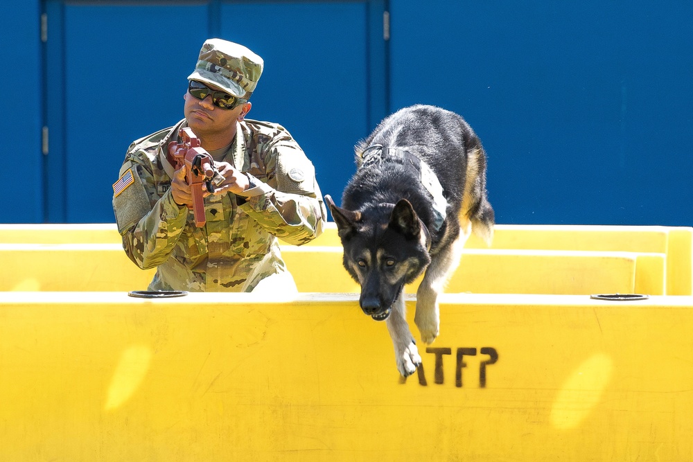 Yokota’s 2019 National Police Week in review