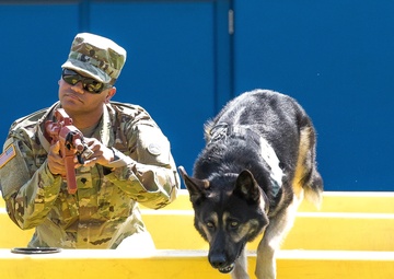 Yokota’s 2019 National Police Week in review