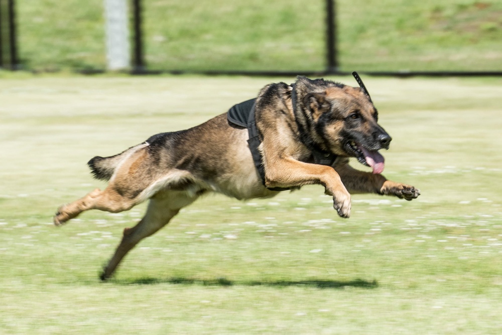 Yokota’s 2019 National Police Week in review