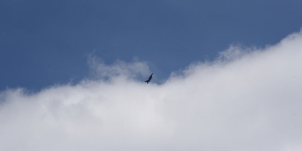 Northern Lightning, May 2019