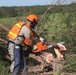 Tree Cutting