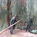 Lightning Forge 19
