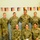 28ECAB Soldier earns foreign award