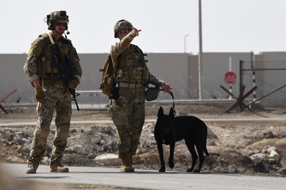 380th EOD and K-9 unit collaborate for joint, full mission profile training