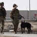 380th EOD and K-9 unit collaborate for joint, full mission profile training
