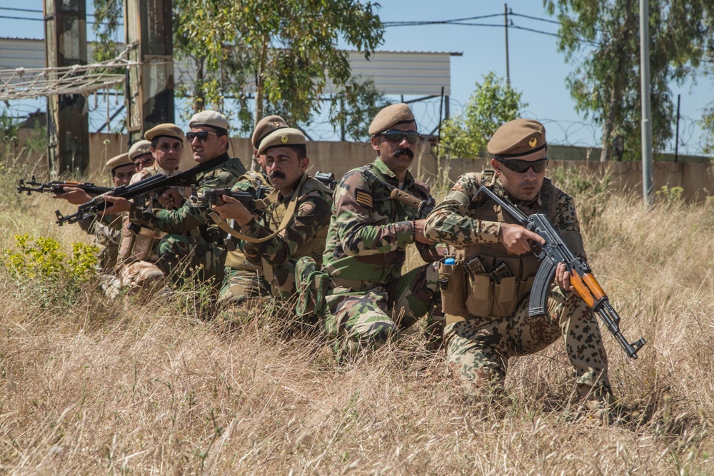 Peshmerga Squad Movement Training