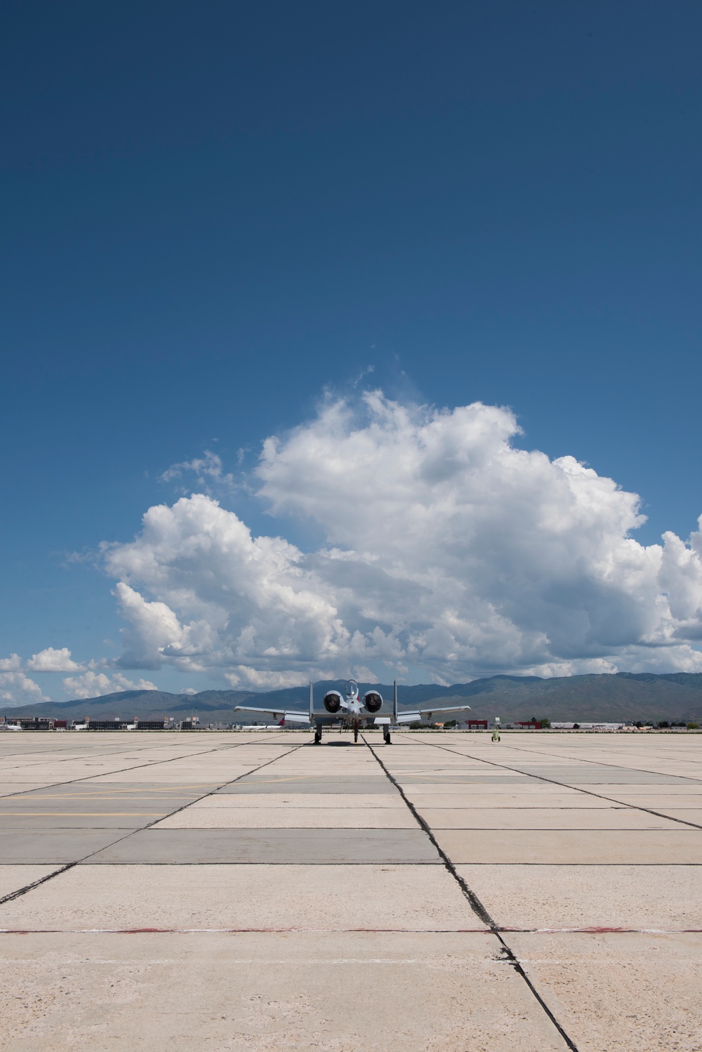 Warthog in Waiting