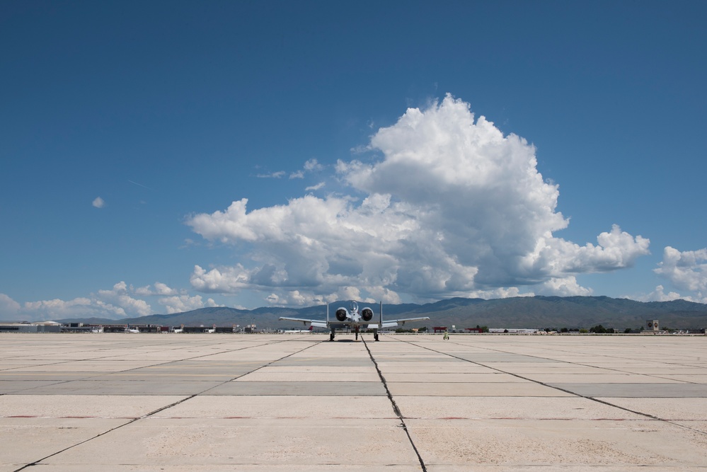 Warthog in Waiting