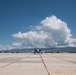 Warthog in Waiting