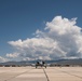 Warthog in Waiting