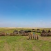 Iron Rangers Train with Romanian Allies During Justice Eagle