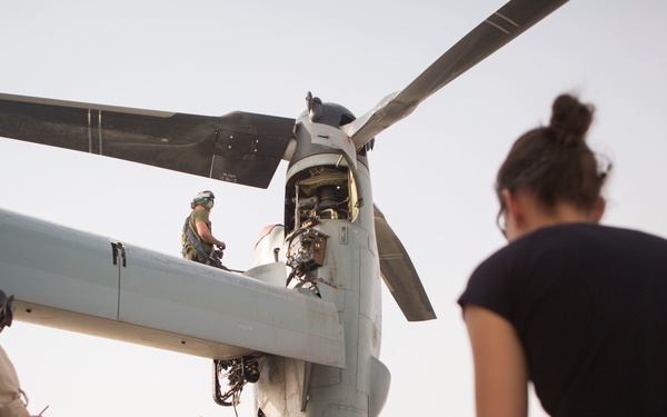 Go to War, Do Art: Combat Artist Program
