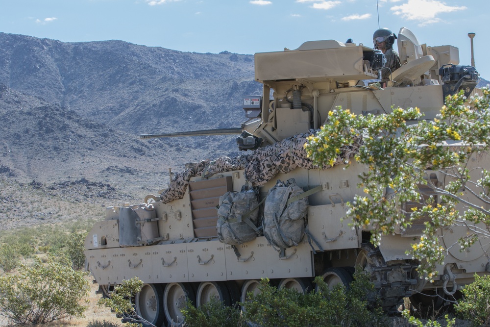 Oregon Army National Guard Soldiers from Bravo and Charlie companies, 3-116th Cavalry Regimentconduct armored troop leading procedures and dismounted infantry operations.