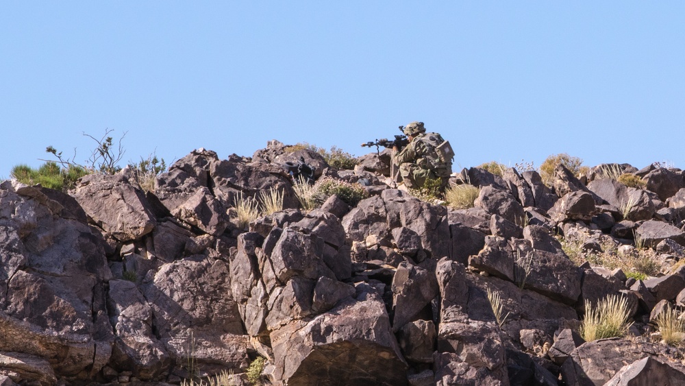 Oregon Army National Guard Soldiers from Bravo and Charlie companies, 3-116th Cavalry Regimentconduct armored troop leading procedures and dismounted infantry operations.