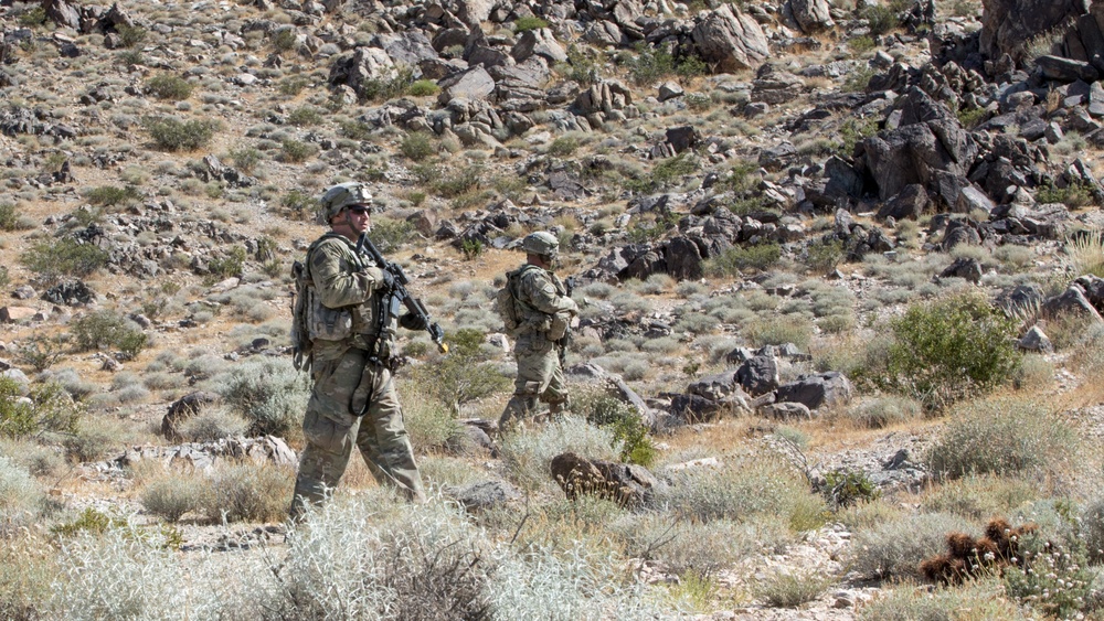 Oregon Army National Guard Soldiers from Bravo and Charlie companies, 3-116th Cavalry Regimentconduct armored troop leading procedures and dismounted infantry operations.