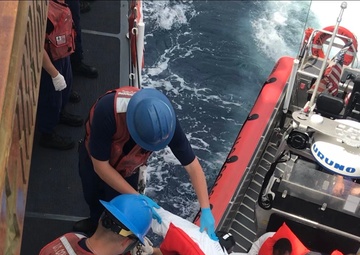 Coast Guard repatriates 12 migrants to the Dominican Republic, following at-sea interdiction of migrant vessel in the Mona Passage