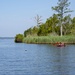 Single Marine Program Volunteer Cleanup at the Gottschalk Marina on Marine Corps Base Camp Lejeune