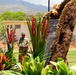 Hawaii Army National Guard remembers the fallen