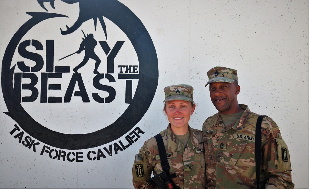 Task Force Cavalier Promotion Ceremony