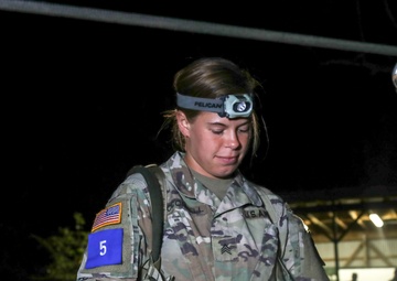 2019 U.S. Army Pacific BWC Night Stakes