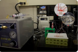 The Revolution Will Not be Televised, but it Will be 3D Printed