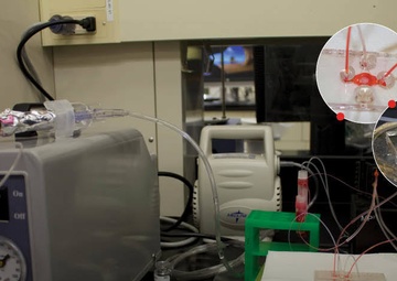 The Revolution Will Not be Televised, But it Will be 3D Printed