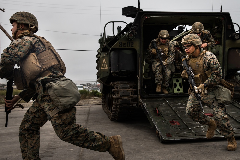 U.S. Marines with 3rd AABN and 2/4 complete a simulated mechanized company operation