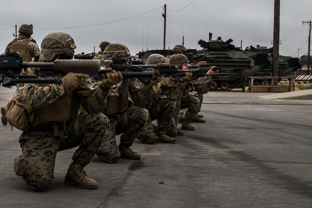 U.S. Marines with 3rd AABN and 2/4 complete a simulated mechanized company operation