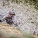 Ranger Rehearses for Pointe du Hoc Climb