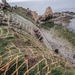 Rangers Rehearse for Historic Pointe du Hoc Climb