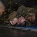 22nd MEU Admin Section Physical Training