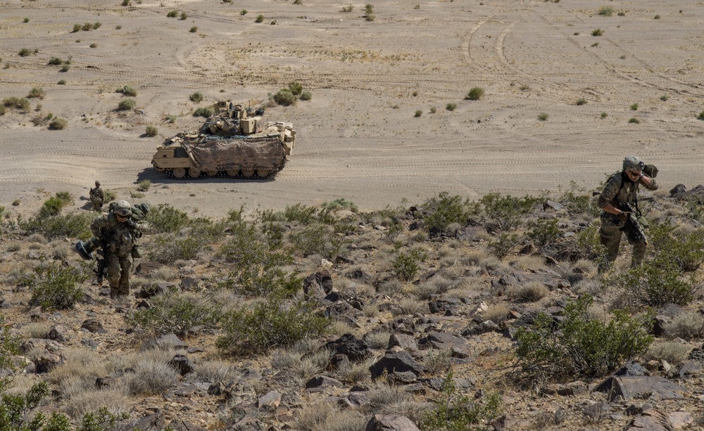 1-163 Cav - Defensive Training Exercise at National Training Center (NTC)