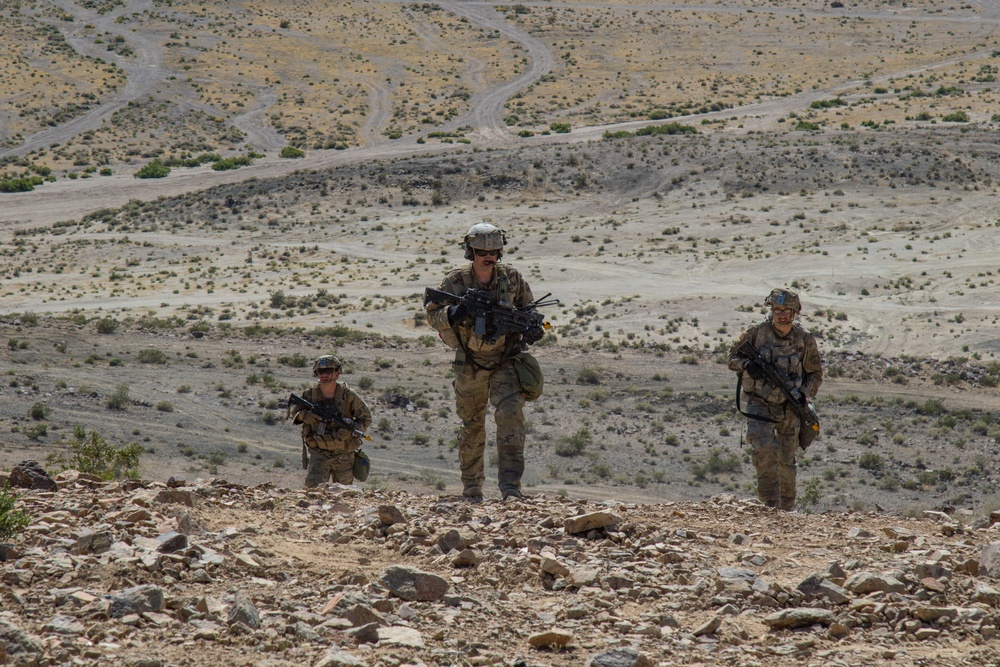 1-163 Cav - Defensive Training Exercise at National Training Center (NTC)