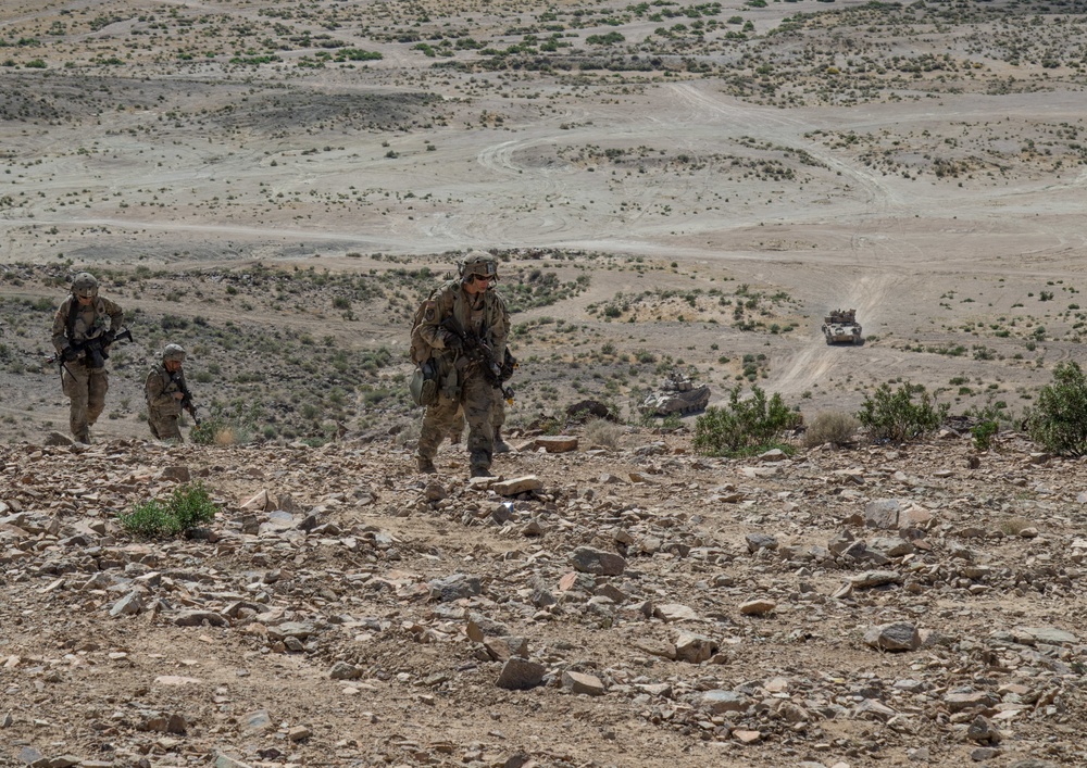 1-163 Cav - Defensive Training Exercise at National Training Center (NTC)