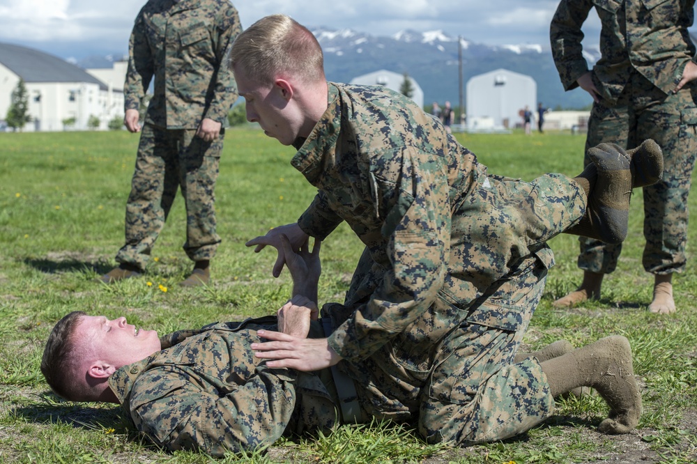 Visiting Marines conduct physical fitness training at JBER