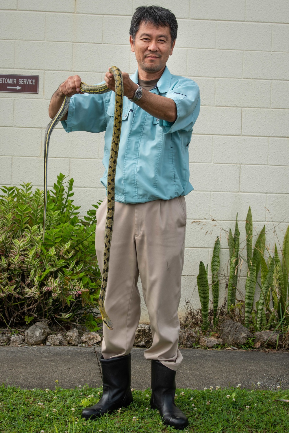 Okinawa Snake Safety 101