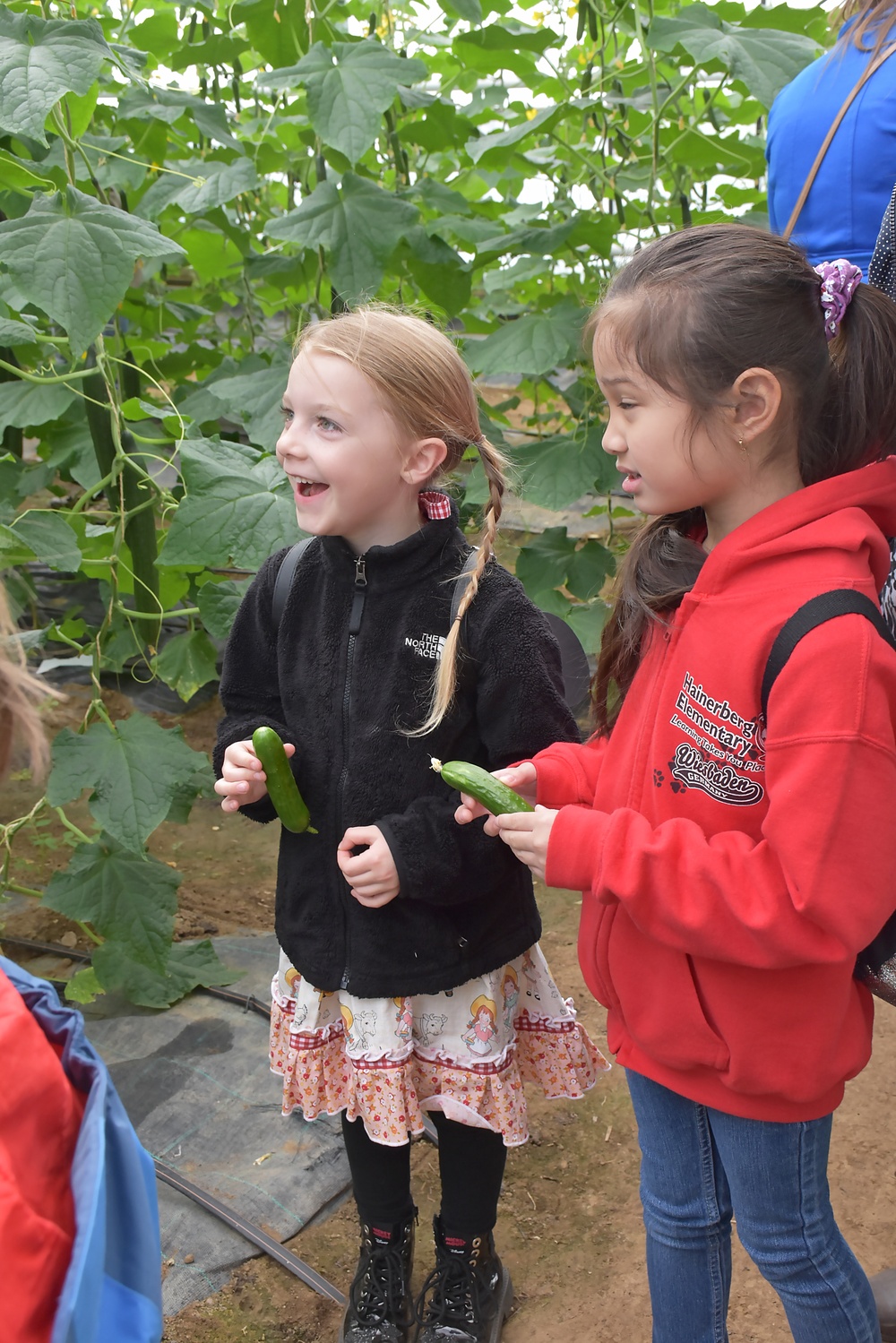Hainerberg first-graders visit organic farm
