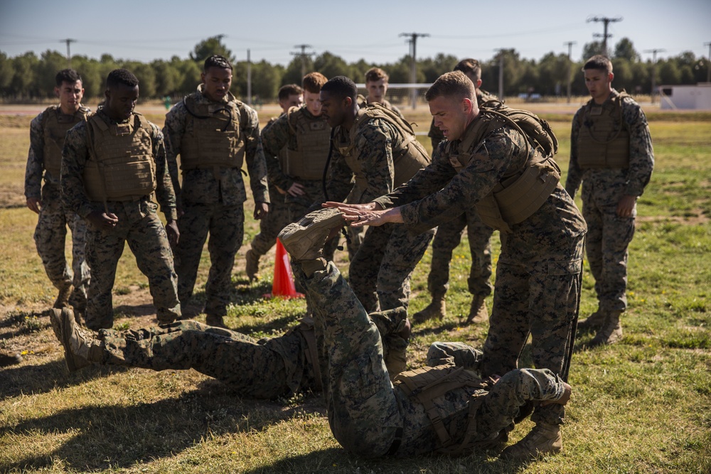 Martial Arts Instructor Course: Marines with SPMAGTF-CR-AF 19.2 train to become certified instructors
