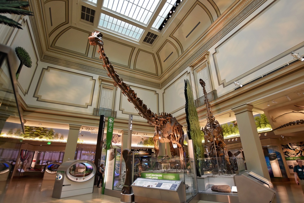 National Fossil Hall 'Deep Time' to reopen June 8 at the National Museum of Natural History