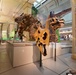 National Fossil Hall 'Deep Time' to reopen June 8 at the Smithsonian National Museum of Natural History