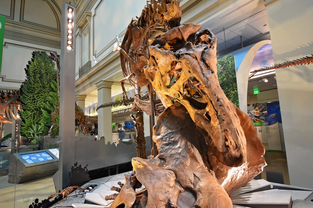 National Fossil Hall 'Deep Time' to reopen June 8 at the National Museum of National History