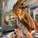 National Fossil Hall 'Deep Time' to reopen June 8 at the National Museum of National History