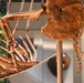 National Fossil Hall 'Deep Time' to reopen June 8 at the Smithsonian National Museum of Natural History