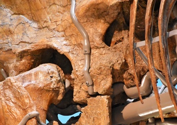 National Fossil Hall 'Deep Time' to reopen June 8 at the Smithsonian National Museum of Natural History