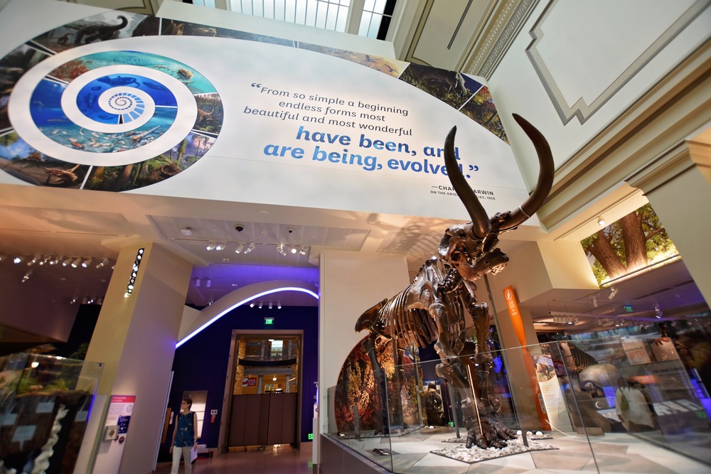 National Fossil Hall 'Deep Time' to reopen June 8 at the Smithsonian National Museum of Natural History