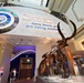 National Fossil Hall 'Deep Time' to reopen June 8 at the Smithsonian National Museum of Natural History