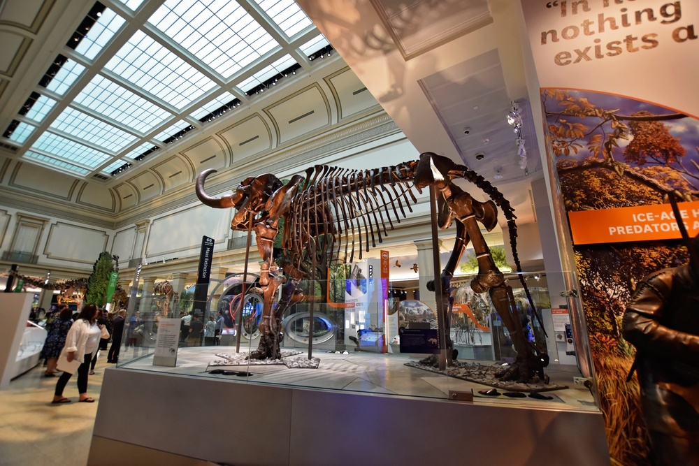 National Fossil Hall 'Deep Time' to reopen June 8 at the Smithsonian National Museum of Natural History